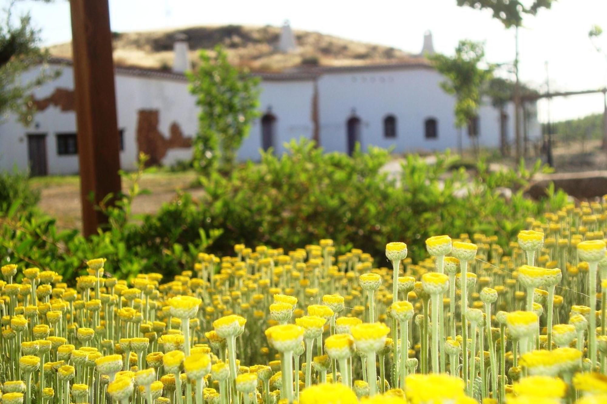 Apartmán Cuevas Hammam Abuelo Jose Purullena Exteriér fotografie